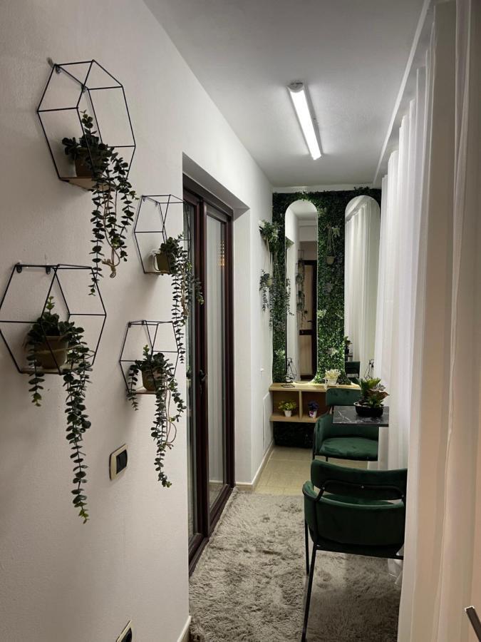 Superior 2Br Apartment 티라나 외부 사진